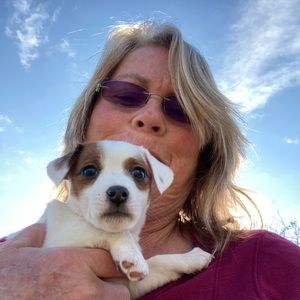 Meet your Posher, Jane